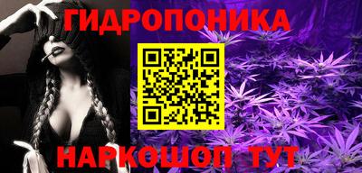 прущая мука Кимры