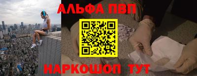 мет Кингисепп