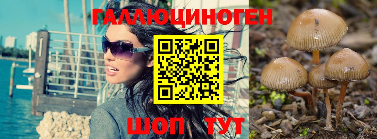 Галлюциногенные грибы Psilocybine cubensis  Псилоцибиновые грибы ЛСД  Кузнецк  Вход с VPN 